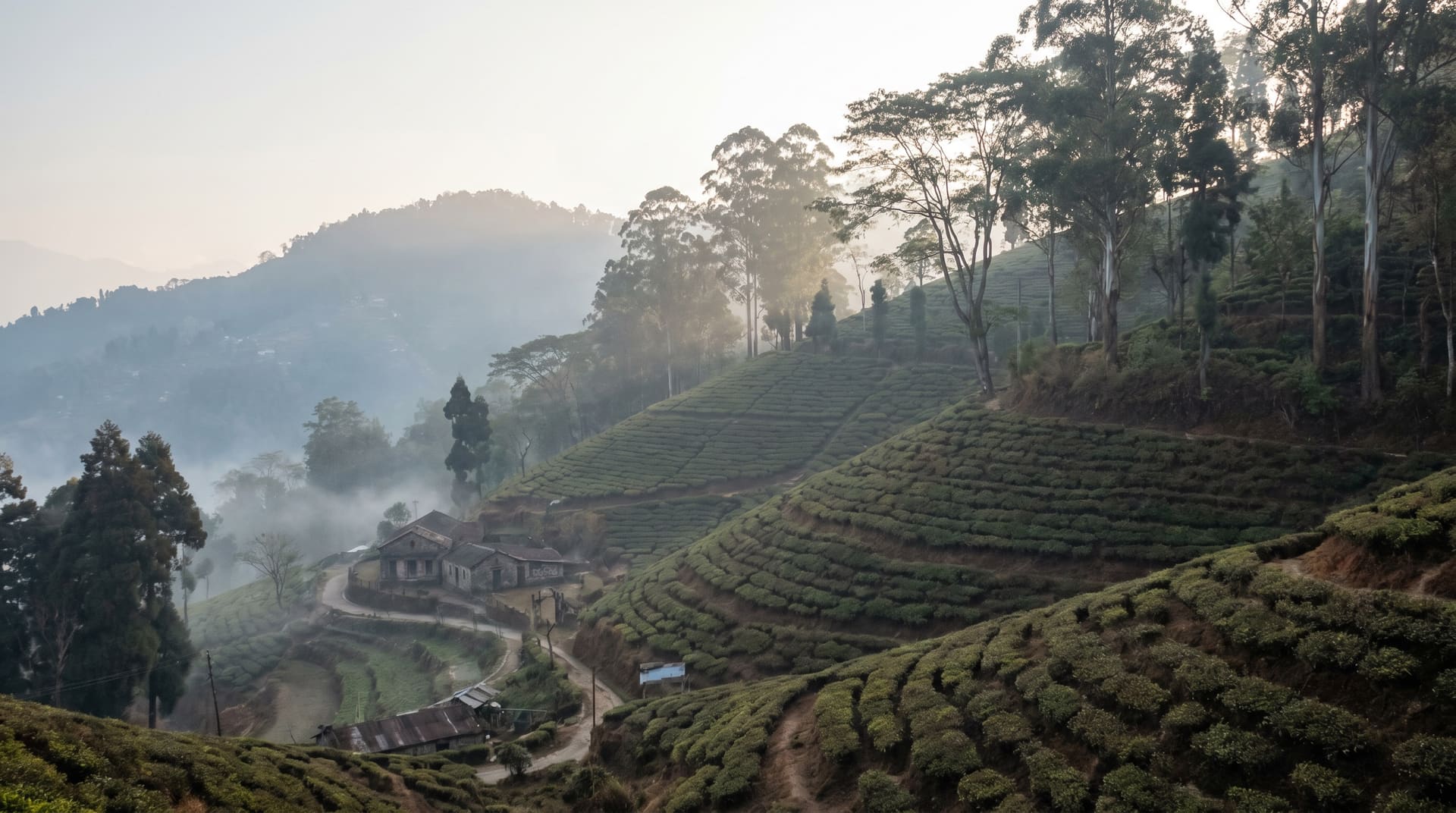 Darjeeling, India, editorial landmark