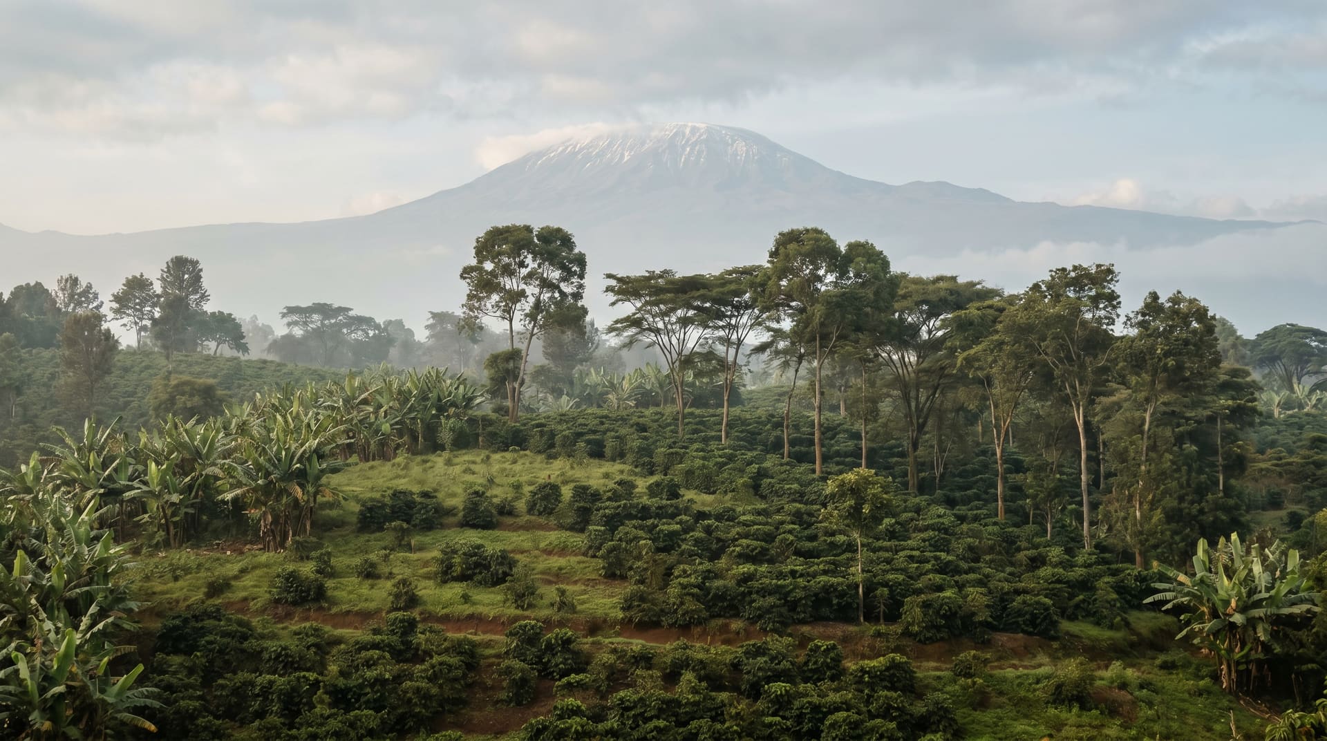 Moshi, Tanzania, editorial landmark