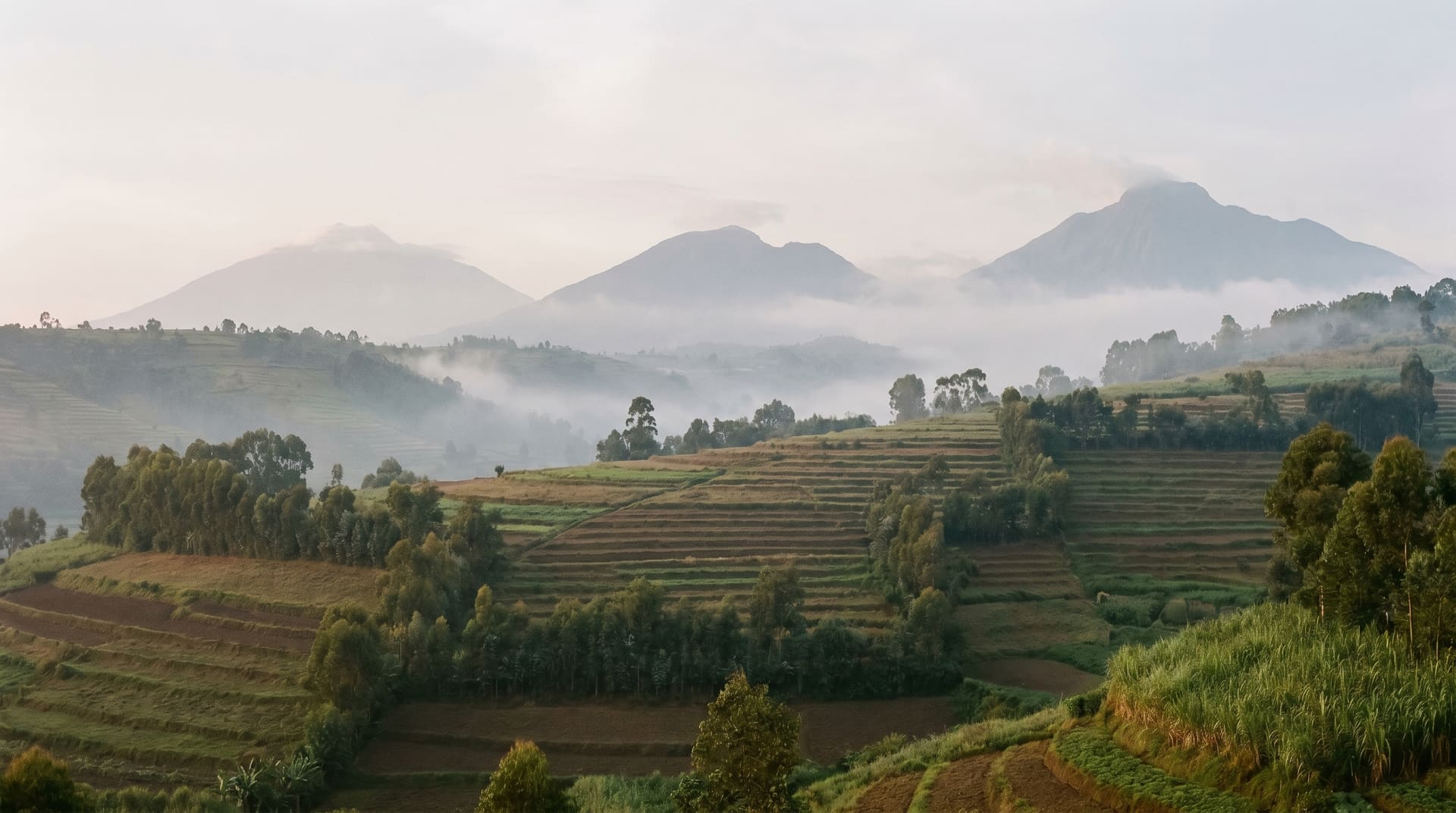 Musanze, Rwanda, editorial landmark